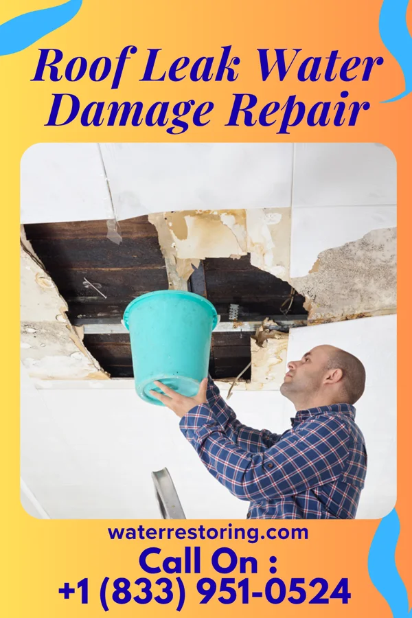 Roof Leak Water Damage Repair in Nashville, KS