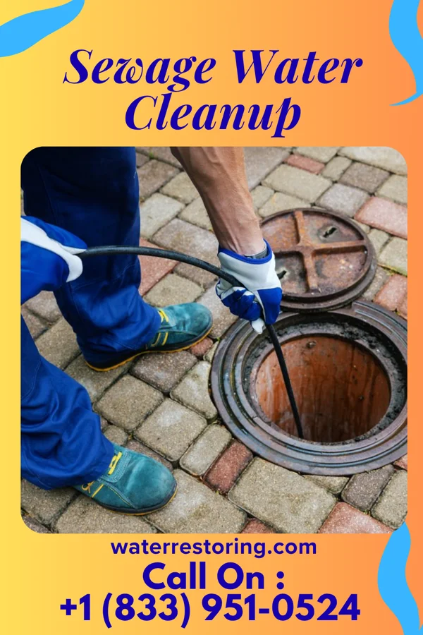 Sewage Water Cleanup in Nashville, KS